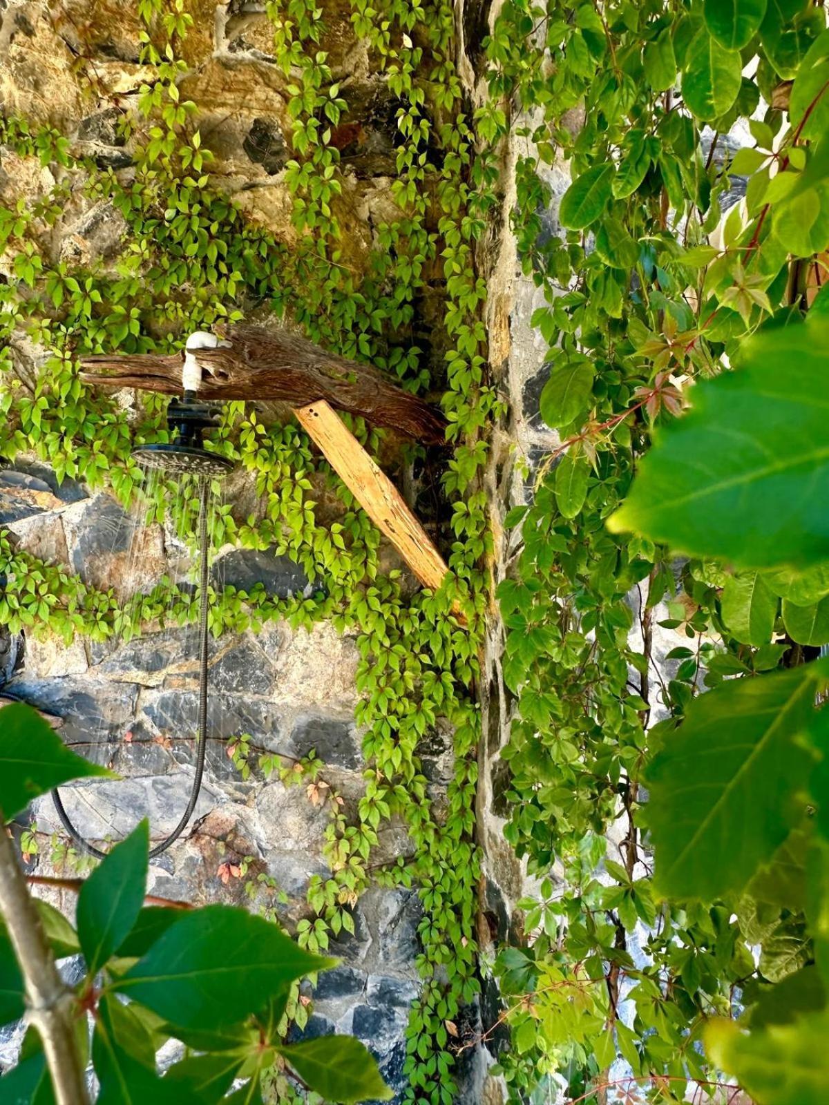 Casa Jasmin Bed & Breakfast Troncones Extérieur photo